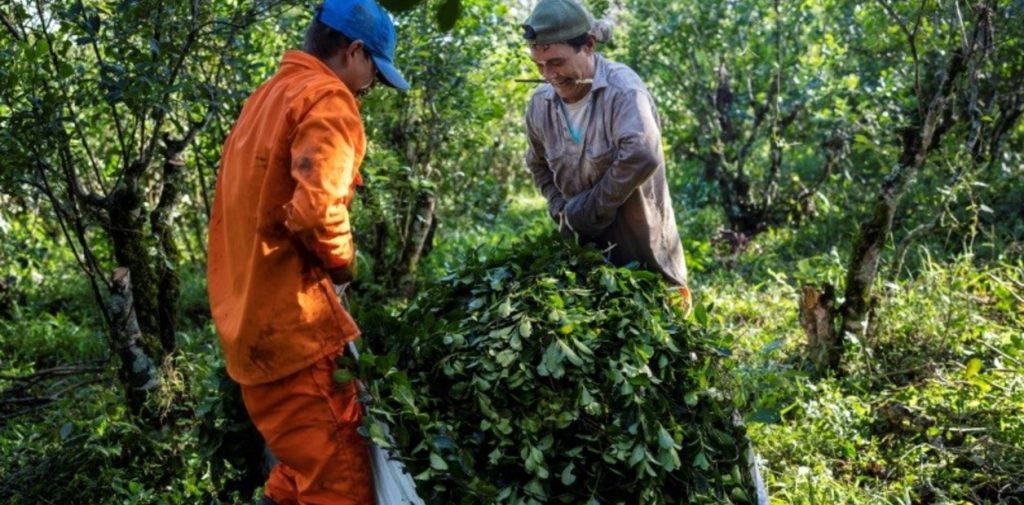 vuNhSrBXh_1256x620__1