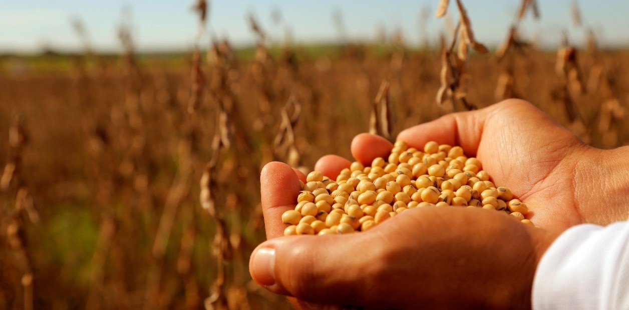 LjtJvke0C_1256x620__1