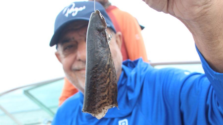 1303pasodelapatria-2202135