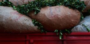 5x8hgqxol_1256x620__1