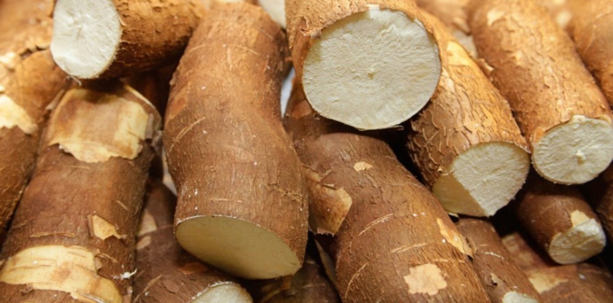 _PAjya8E6_1256x620__1