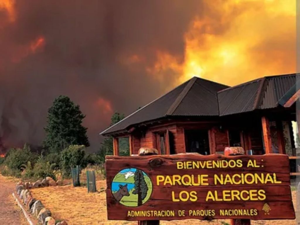 xr:d:DAFvux-zKWM:828,j:5795423823939808040,t:24012911