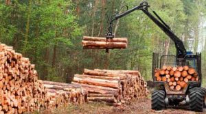 Portadas-dCN-2025-02-24T133639.013-800x445