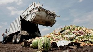 alimentos-desechados-1357854