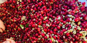 dTToLyOXq_1256x620__1