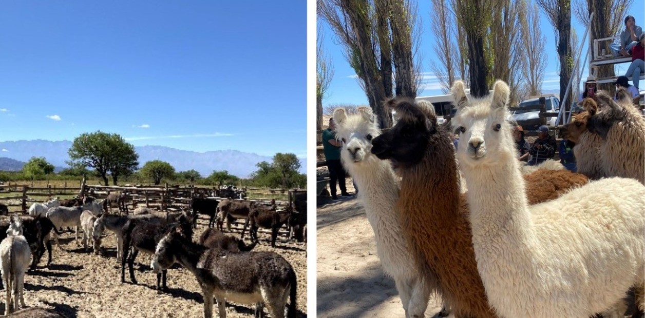 e-Fs971PM_1256x620__1