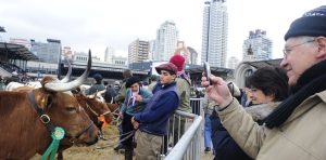 gYHxVkzoL_1256x620__1