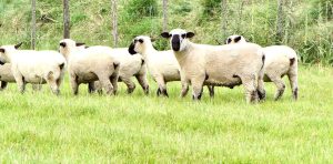 gbgJ4DOwH_1256x620__1