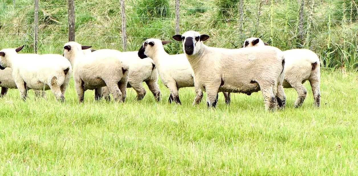 gbgJ4DOwH_1256x620__1