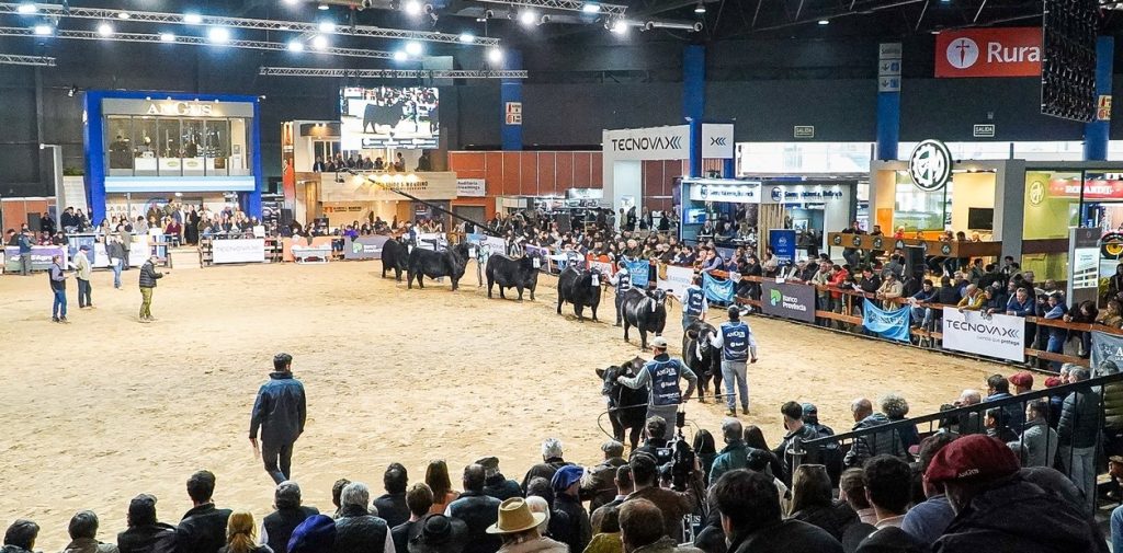 i5882R9jK_1256x620__1