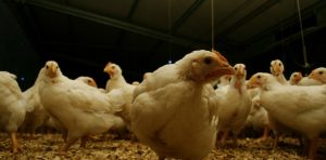 yYQUGOnVq_1256x620__1