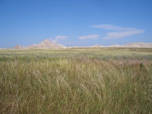 Oglala_National_Grassland