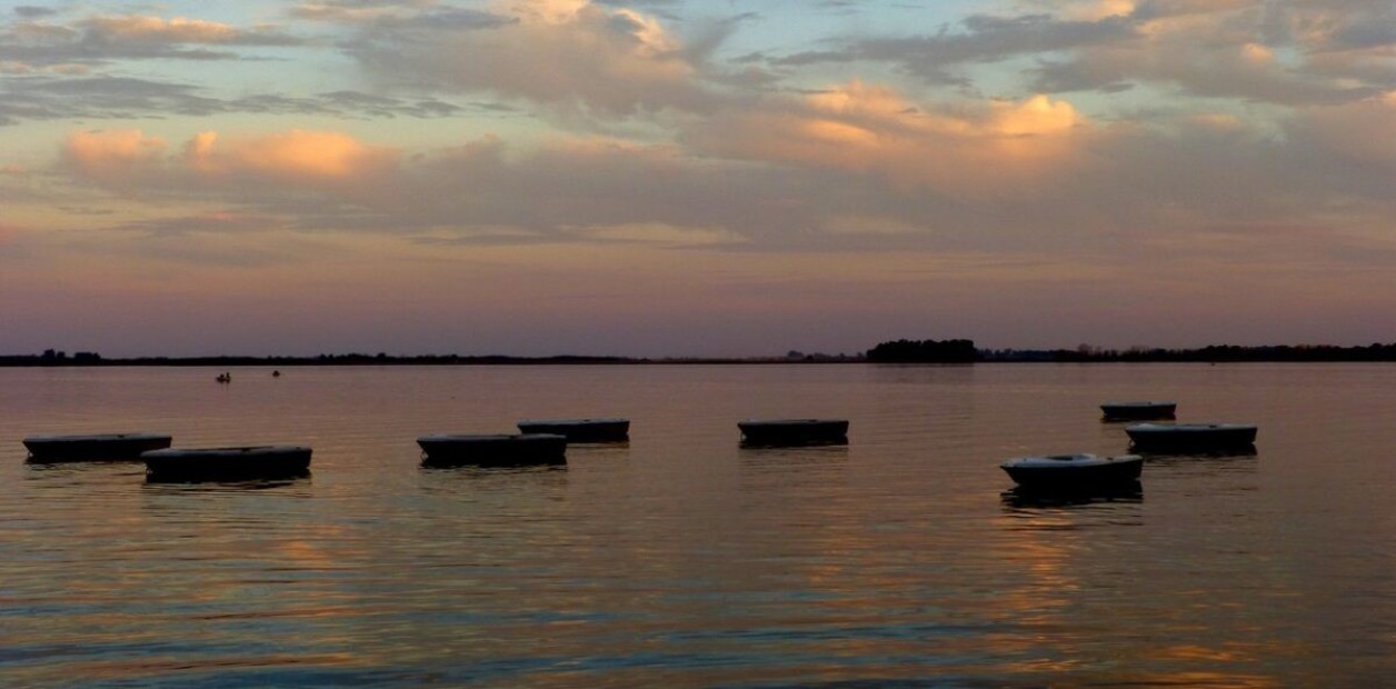 SOAsljy1m_1256x620__1