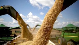 soja-brasil-granos-cosecha-john-deere