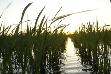 XLlswkZr_360x240__1