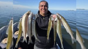 2407mapapiquepesca-2290417