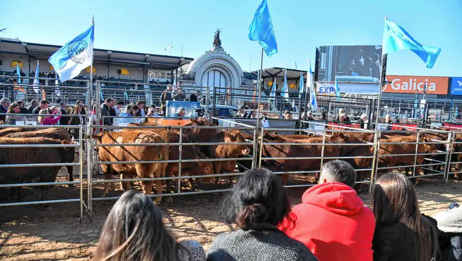 Expo-Rural-Palermo-foto-Enrique-Garcia-Medina-46