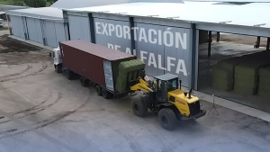 exportacion-de-alfalfa-desde-argentina-infraestructura-y-logistica-1