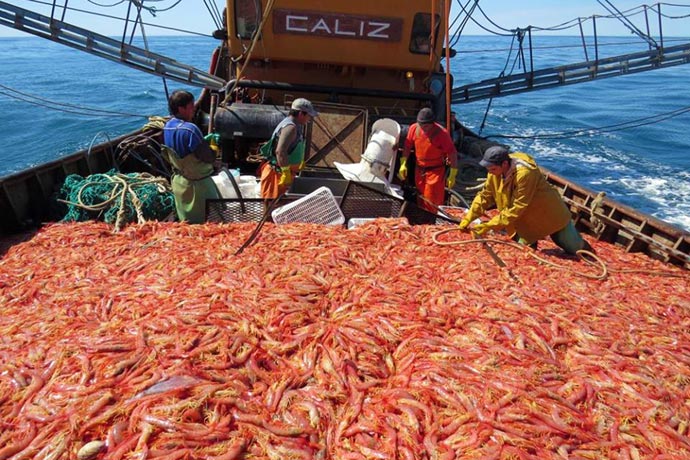Revista-Puerto-Langostino-en-Chubut-00