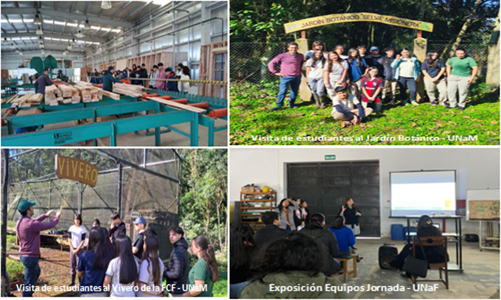 Semana-de-las-Ciencias-3