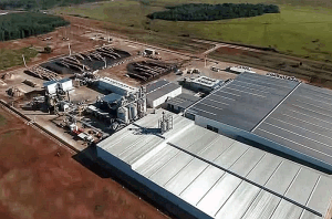 Corrientes-PlantaAcon-Timber2026