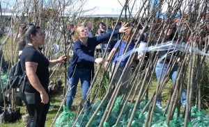 Plan-Arbolado-Municipal-Vivero-Forestal-Entrega-32-scaled