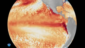 el-nino-entra-en-una-fase-critica-y-tiene-mas-de-90-de-probabilidad-de-alcanzar-una-intensidad-muy-fuerte-2317352