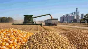 produccion-granos-exportaciones-agroindustriales-argentina-ruralnet