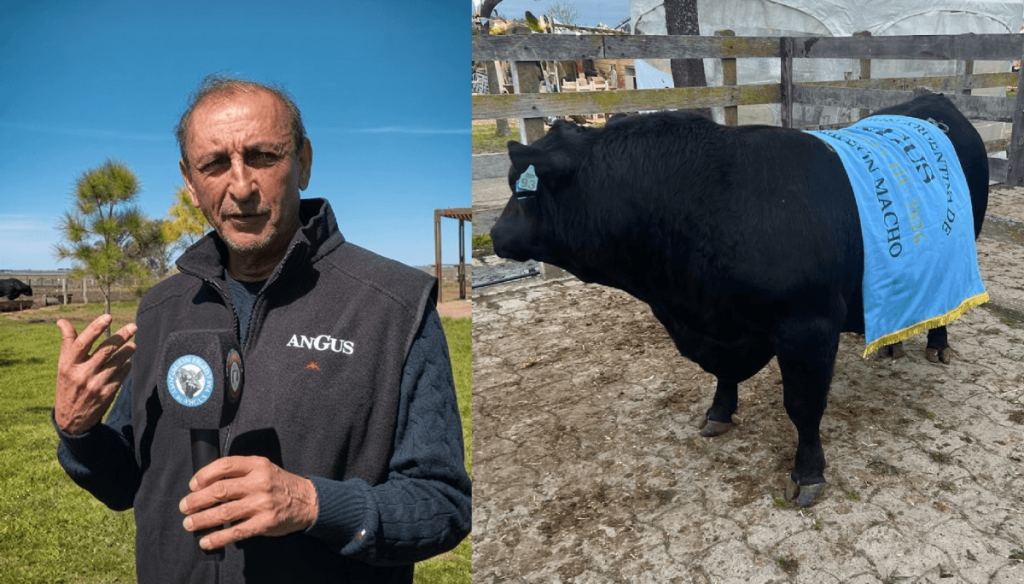 ramon-diaz-ganado