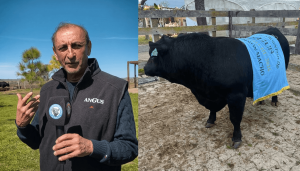 ramon-diaz-ganado