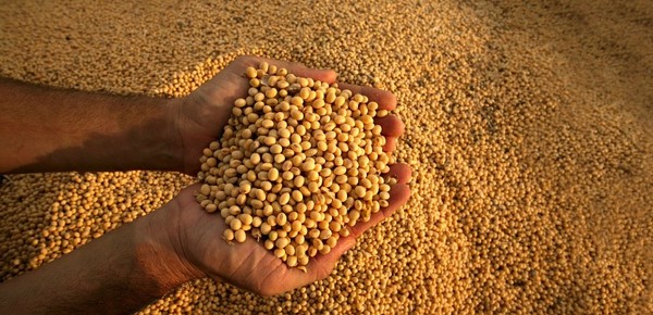 rkAXkwTrx_600x290 (1)