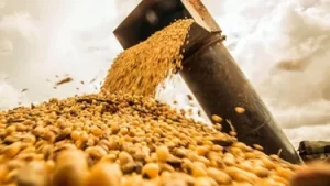 soja-agro-cosechadora-campo