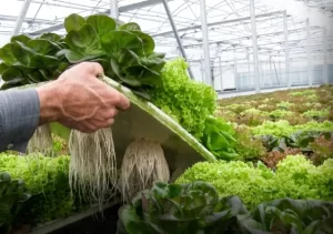 6ab2d54575e4d__640x450