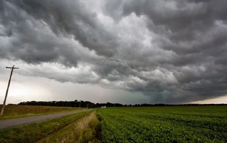 SM-campo-lluvia-26032020