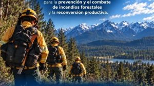 actuar-antes-que-arda-678x381