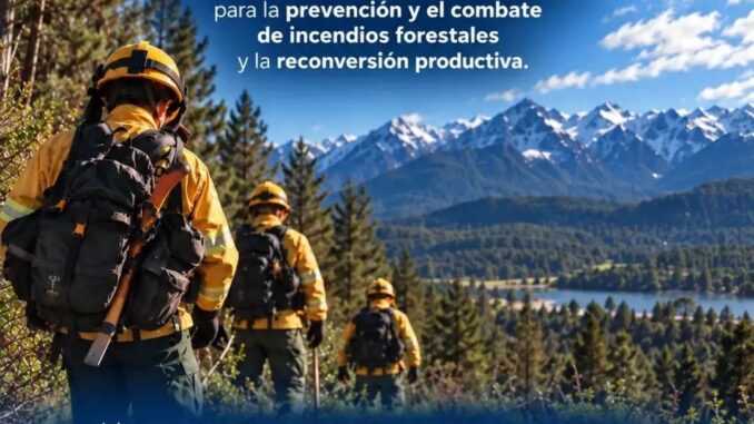 actuar-antes-que-arda-678x381
