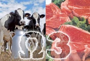carne_leche_omega3