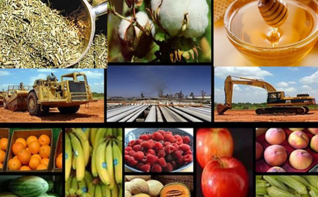 coninagro-economiasregionales-semaforo-650x404-1