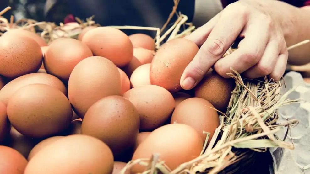 consumo-record-de-huevos-2110122